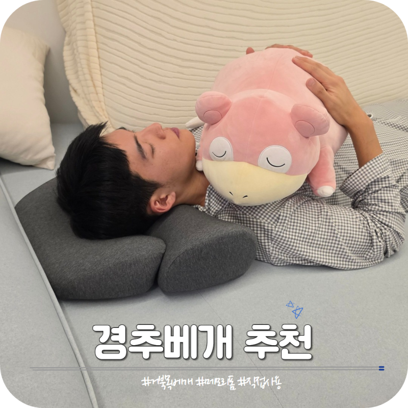 경추베개 추천 거북목에 효과본 스탠바이미 후기