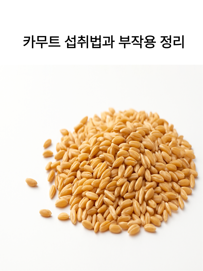 최화정 카무트밥 다이어트의 진실: 삼남매 아빠가 성분 뜯어본 효능 5가지와 부작용 팩트체....