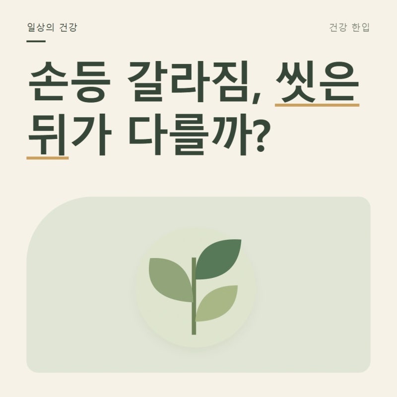 겨울 아닌데 손등이 갈라진다면, 피부 장벽 회복 순서
