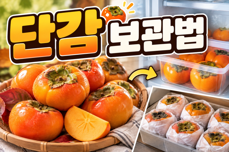 단감 보관법｜냉장고에 그냥 넣으면 왜 금방 물러질까?