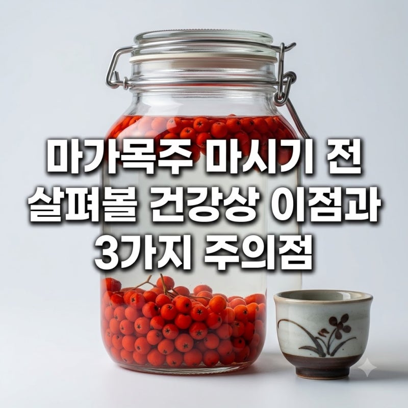 마가목주 마시기 전 살펴볼 건강상 이점과 3가지 주의점