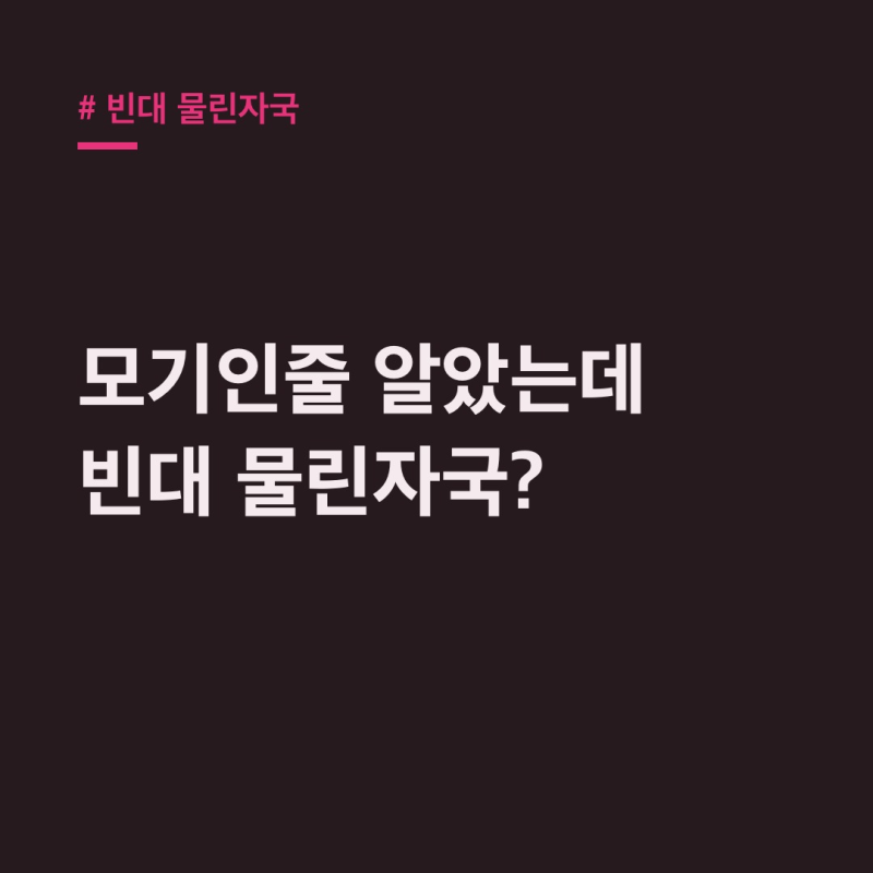 빈대 물린자국 모기 아냐? 침대 속 빈대 흔적 단서