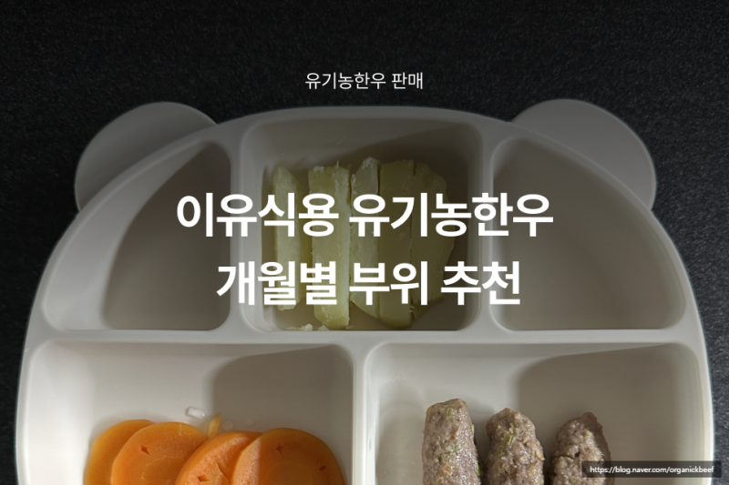 이유식 유기농한우 부위, 개월 수별로 딱 3가지만 기억하세요