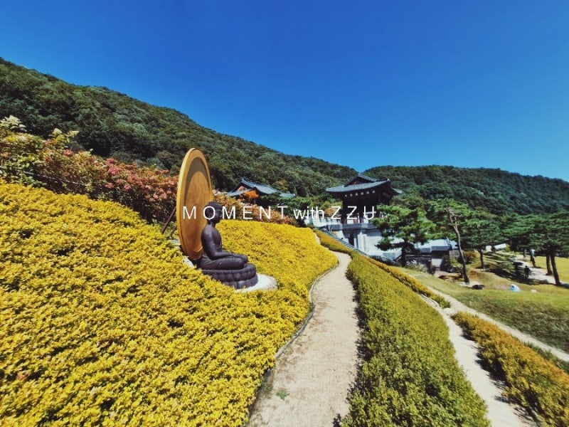 명절 연휴에 다녀온 이색 사찰 나들이, 남양주 금선사