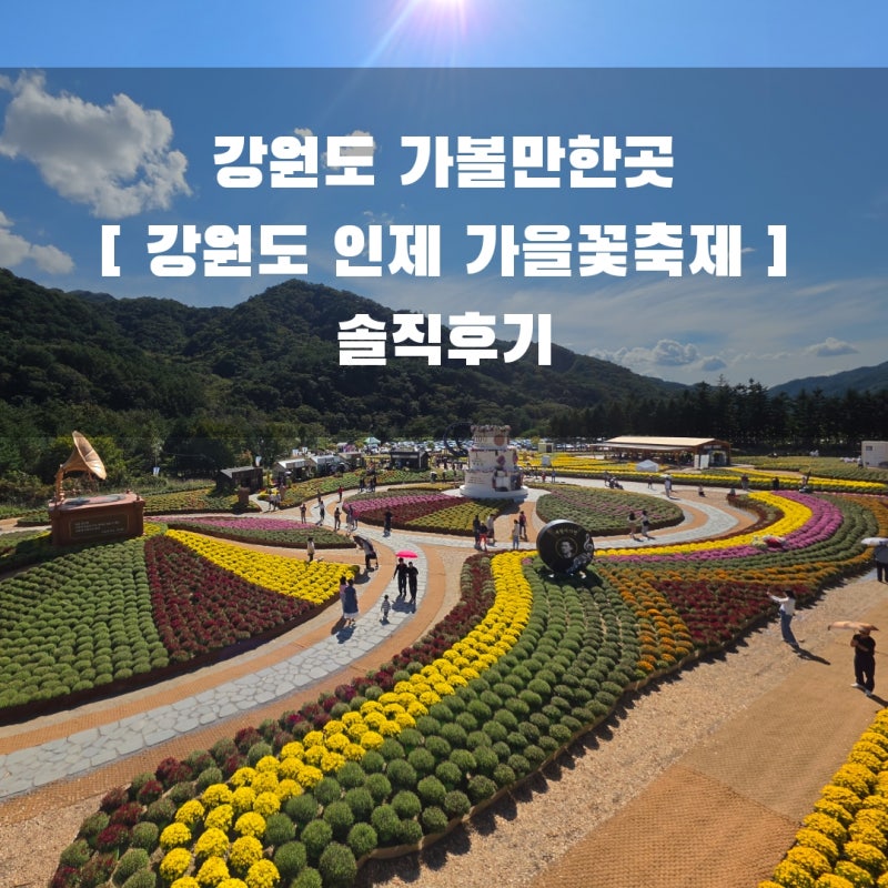 강원도 가볼만한곳 / 포토스팟과 쉴 곳이 많아 좋은 강원도 아기랑 가볼만한곳, 가족 나들이 ....