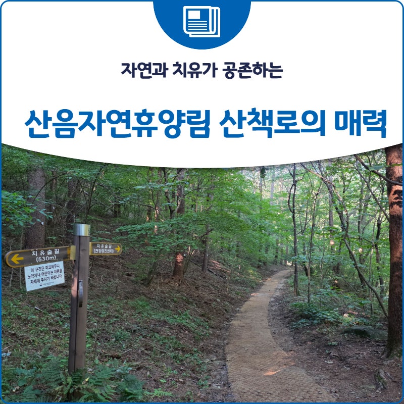 자연과 치유가 공존하는 산음자연휴양림 산책로의 매력