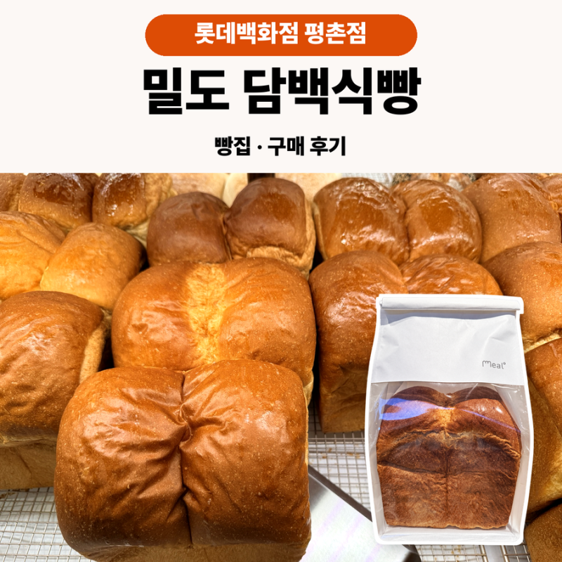 롯데백화점 평촌점 빵집 밀도 담백식빵 후기
