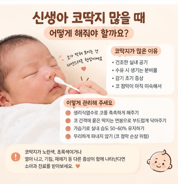 신생아 코딱지가 많을 때｜코는 어떻게 관리할까?