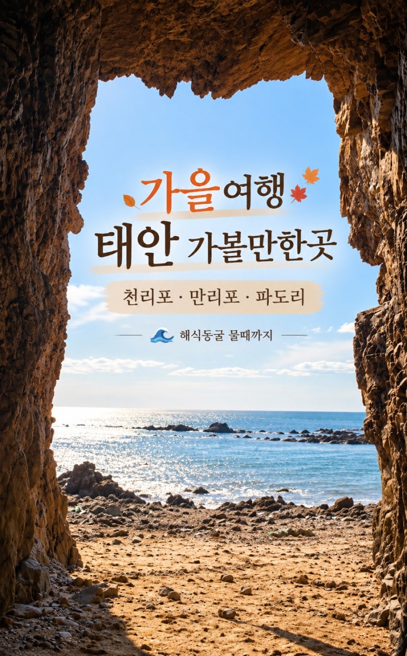 가을여행 태안 가볼만한곳｜천리포수목원·만리포해수욕장·파도리 해식동굴