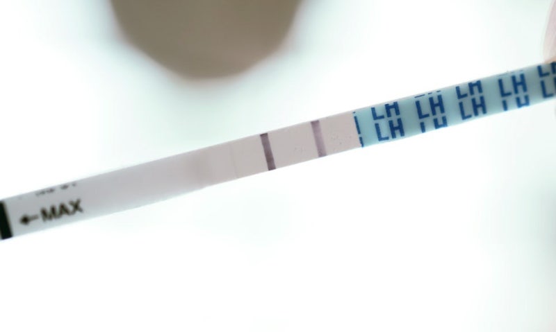 배란일 증상 체크 배란통 배란혈부터 배란테스트기 보는법정리