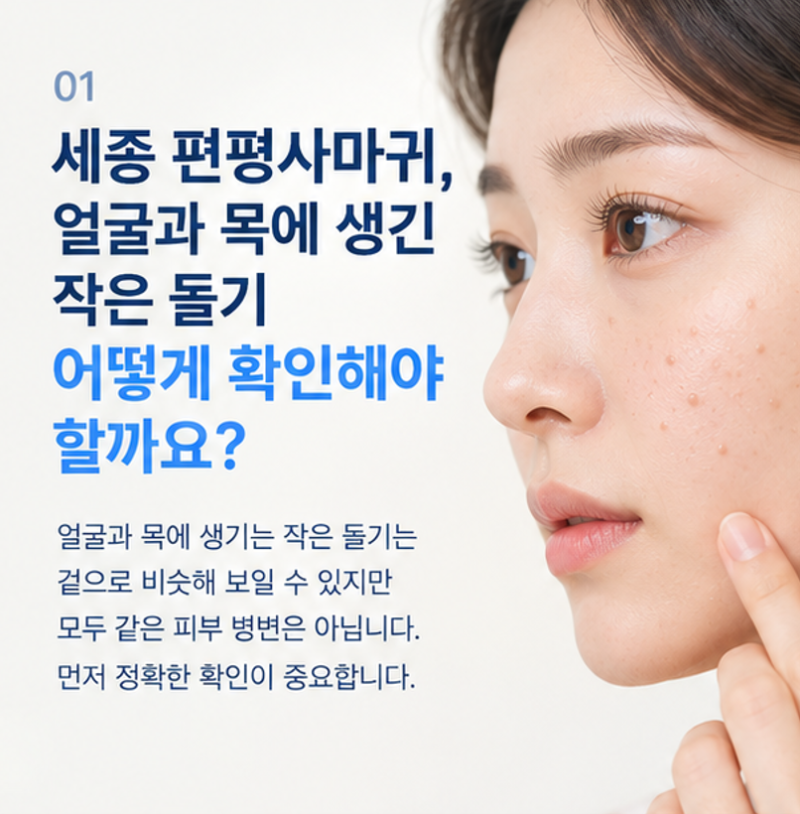 세종 편평사마귀, 얼굴과 목에 생긴 작은 돌기 어떻게 확인해야 할까요?