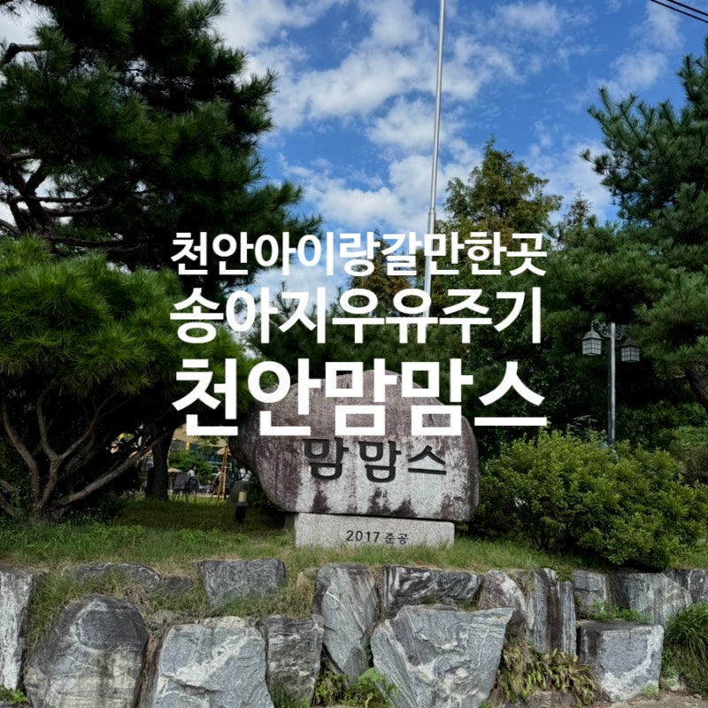 천안 가볼만한곳 아이랑 동물체험 맘맘스 송아지 우유주기 후기