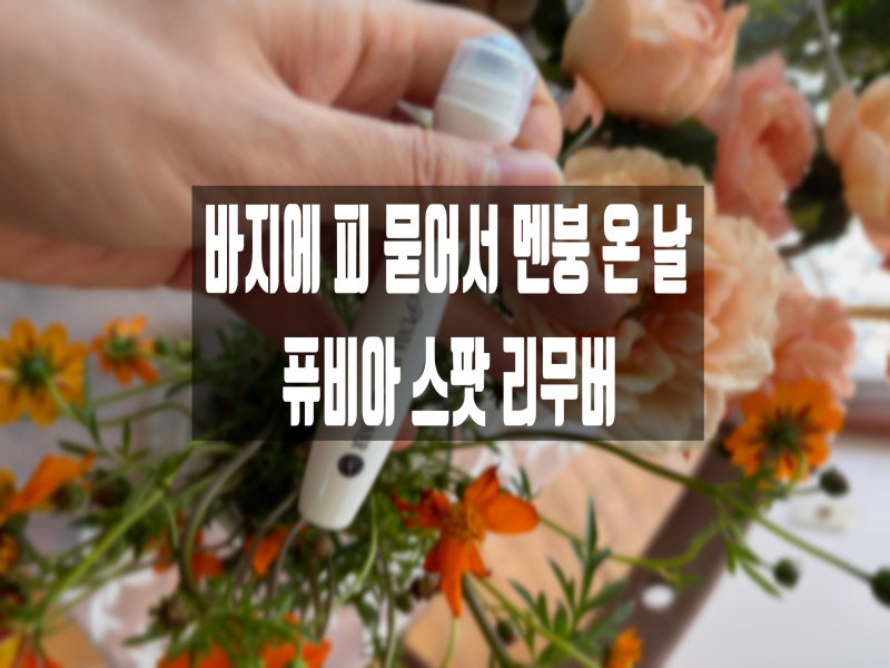 생리혈 얼룩이 진짜 지워진다고? 친구 파우치에서 꺼낸 퓨비아 스팟 리무버 솔직후기