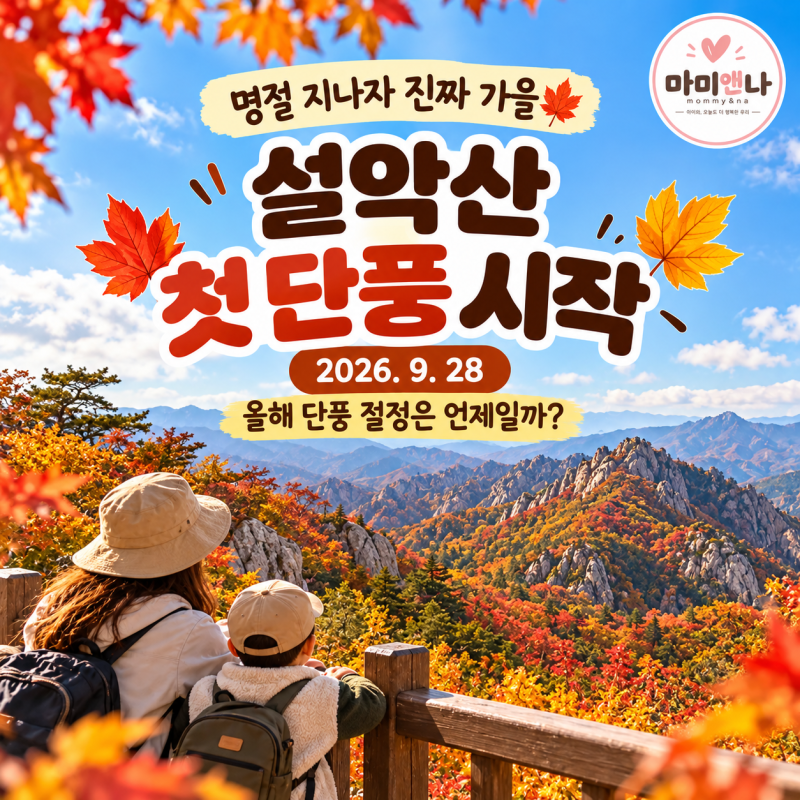 명절 지나자 진짜 가을 설악산 첫 단풍 시작! 2026 전국 단풍시기 한눈에