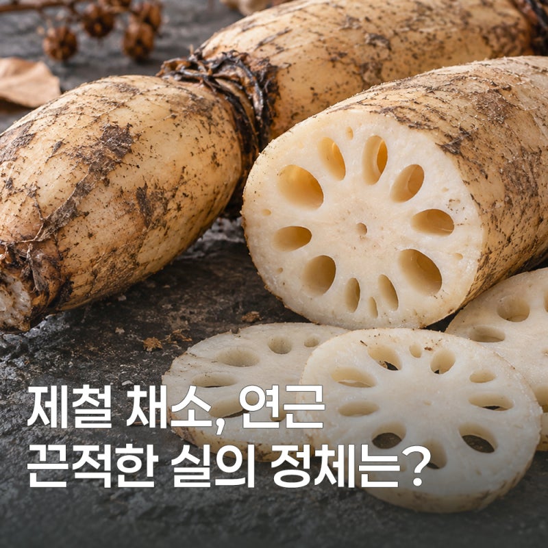 비타민 덩어리 연근, 효능과 손질법 알아보기