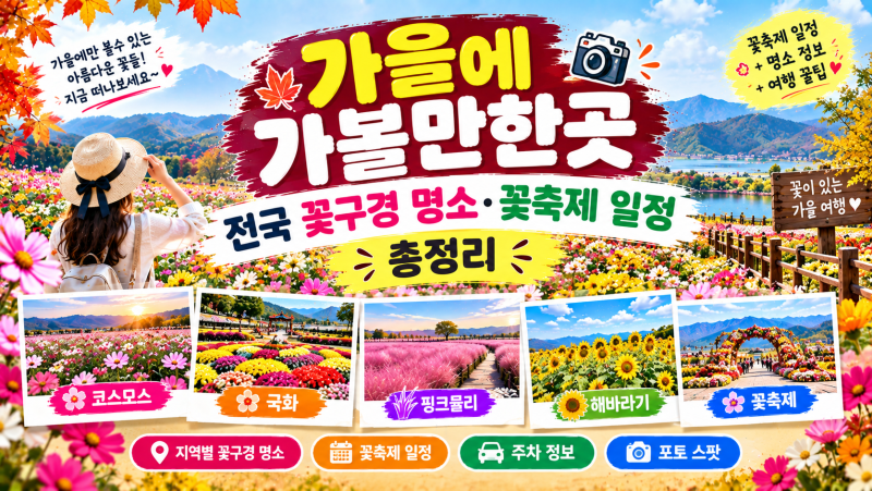 2026 가을 가볼만한곳｜전국 꽃구경 명소·꽃축제 일정 총정리