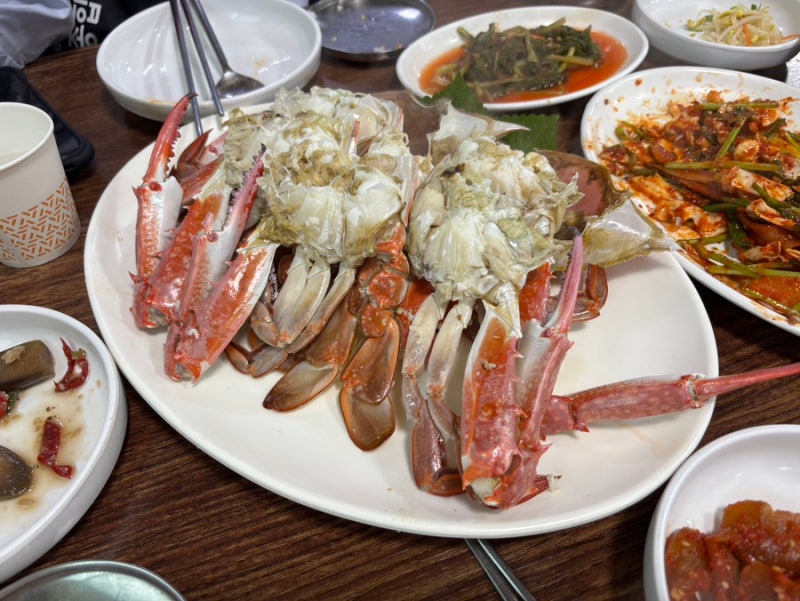 [인천] 강화도 애견동반 맛집 꽂게탕, 꽃게찜 맛집 충남서산집