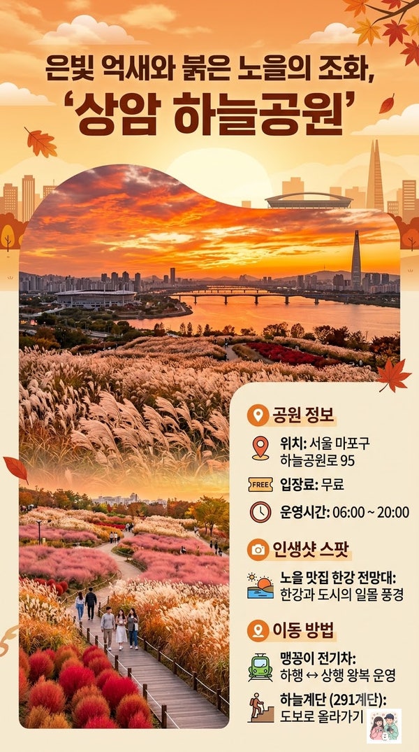 10월 연휴 어디 갈까? 서울 근교 가을 꽃축제·핑크뮬리 명소 BEST 4 (주차·인파 피하는 꿀팁)