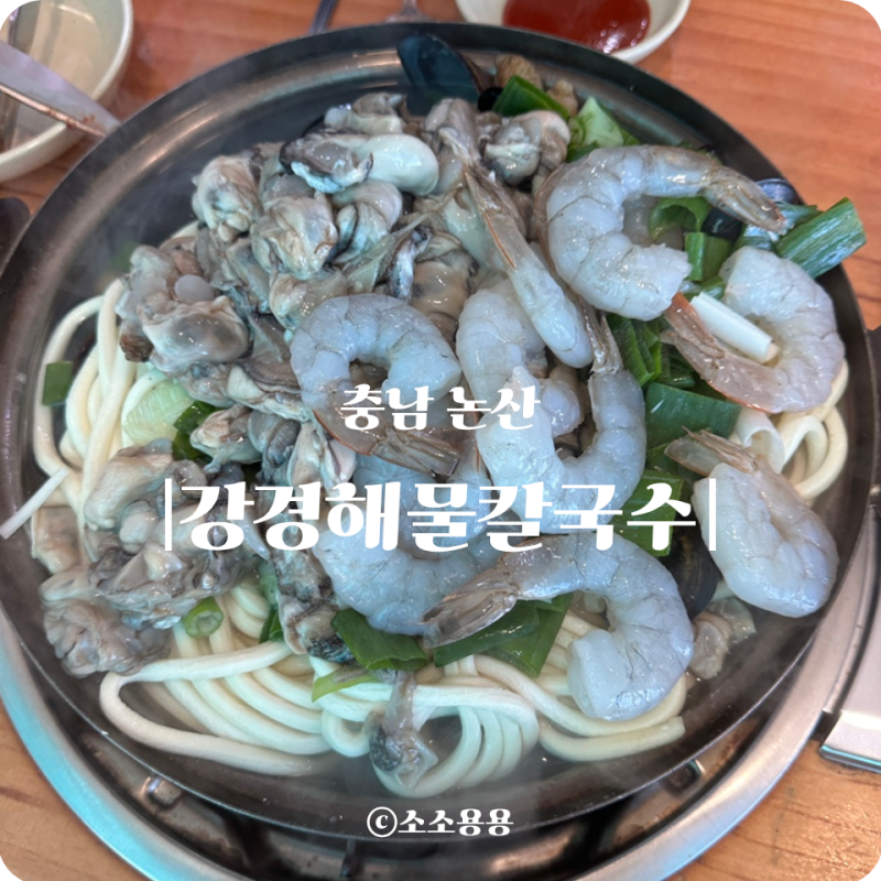 [충남 논산] 강경해물칼국수 본점