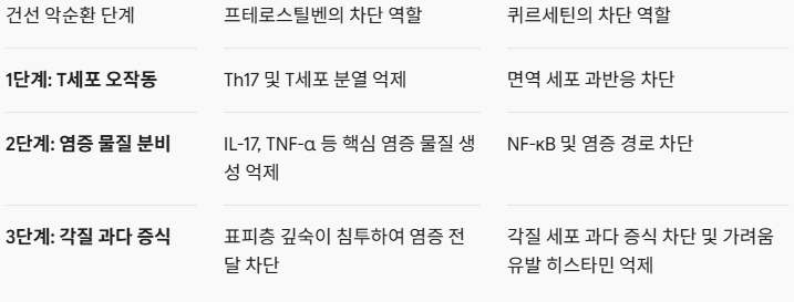 [건선치료]건선 영양제 추천 프테로스틸벤 퀴르세틴
