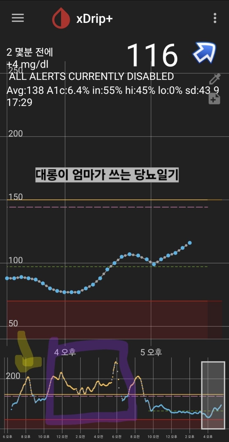 [당뇨견] 명절효과와 최애간식 등장