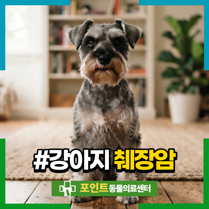 강아지 췌장암 췌장염 증상과 두 질환의 차이점은 어떤 것이 있을까요?
