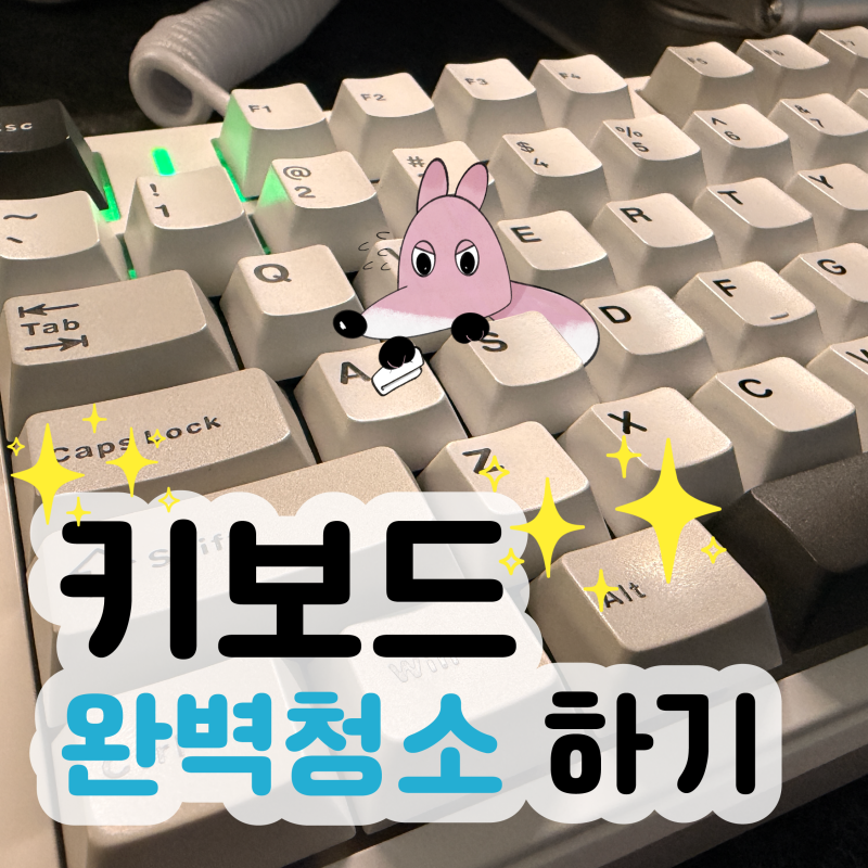 [키보드 청소] 키보드 독거미 F99Pro 완벽청소 하기｜아주 박살을 내주마. (초보도 쌉가능)