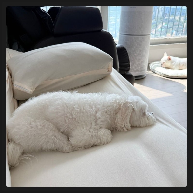 무지스판 가죽 쇼파커버 쇼파천커버 소파덮개 소파천갈이 리폼 카우치 1인용 사용 후, 소파....