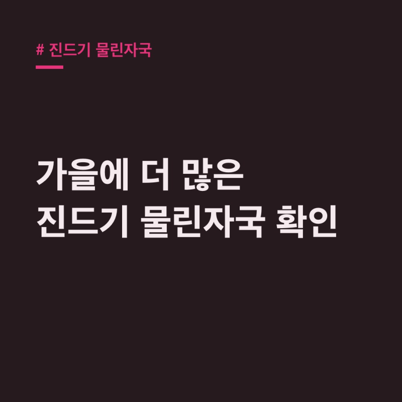 진드기 물린자국, 모기랑 달라요? 3초 확인법