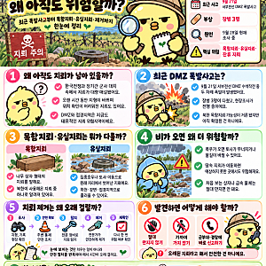 DMZ 지뢰는 왜 아직도 위험할까?  최근 폭발사고부터 목함지뢰·유실지뢰·제거까지