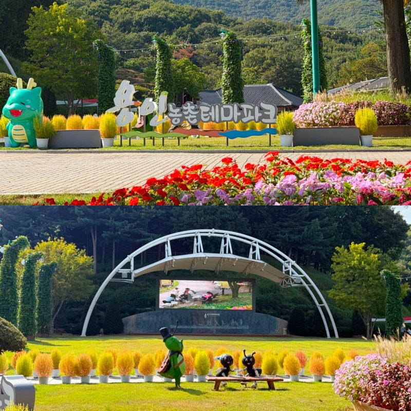 Yongin Rural Theme Park: A Healing Spot in Nature - Weekend Outing Review