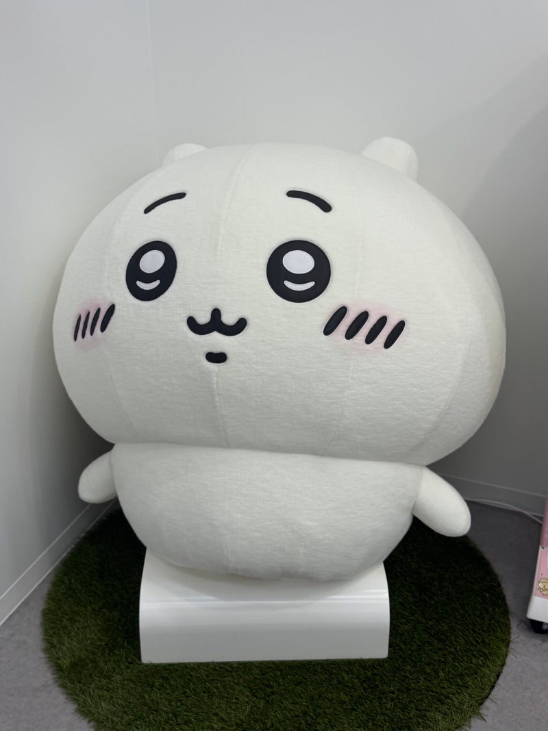 4박5일 혼자 뚜벅이 오키나와 여행기(리치몬드 호텔/치이카와/일본 미용실/북부 버스투어)