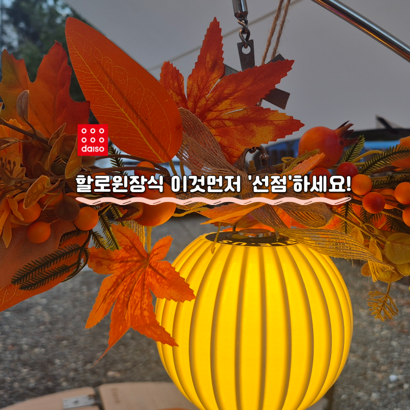 다이소 할로윈 장식 '이것'먼저 선점하세요!