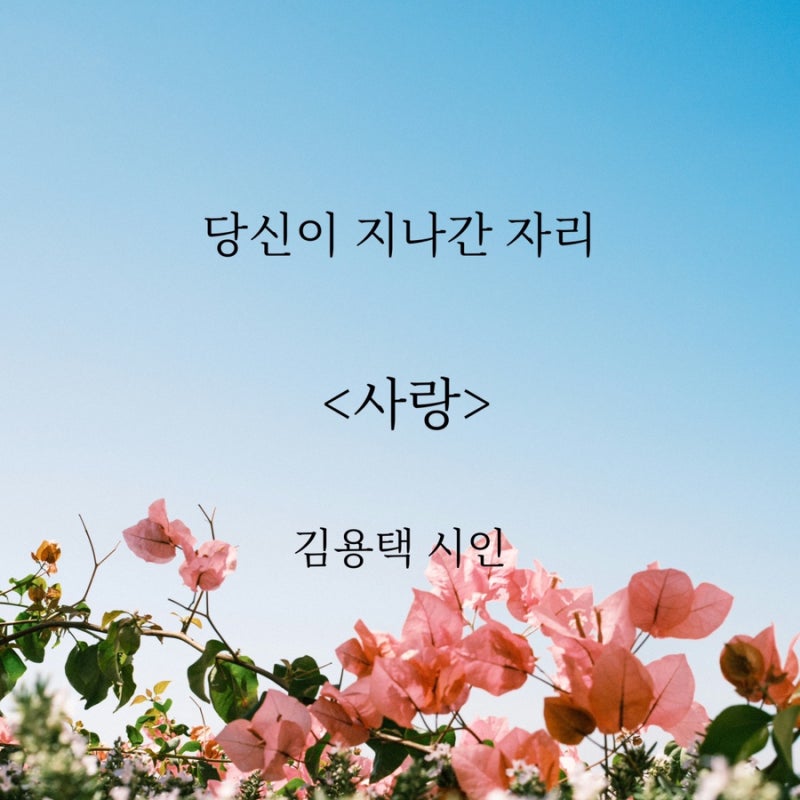 당신이 지나간 자리