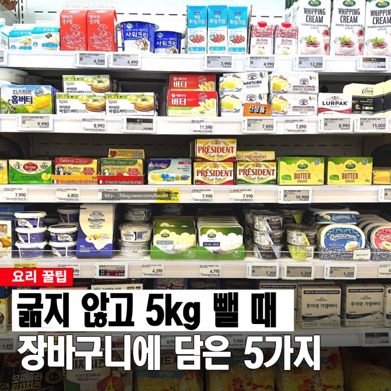 5kg 뺄 때 냉장고에 꼭 채워뒀어요! 다이어트에 좋은 음식 추천템 5가지