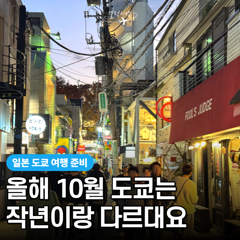 "10월이면 태풍 끝난 줄 알았는데" 도쿄 10월 날씨, 옷차림까지 여행 전 꼭 확인할 3가지