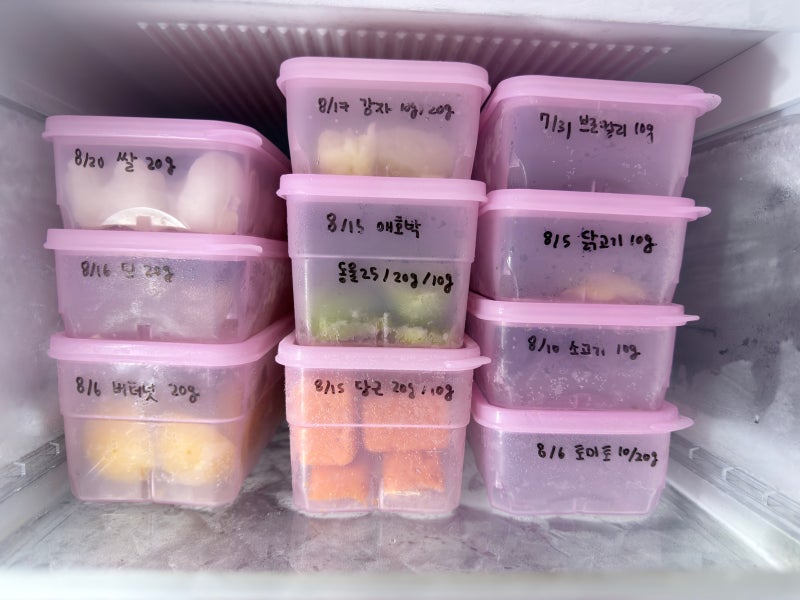 토핑 이유식 준비물. 프랑스 이유식, 큐브 토핑 이유식 준비물(2) - 큐브틀과 큐브 보관함