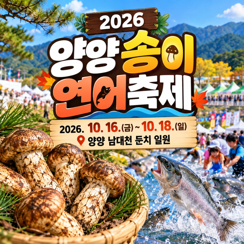 2026 양양송이연어축제, 올해는 10월에 갑니다…달라진 이유가 있었습니다.