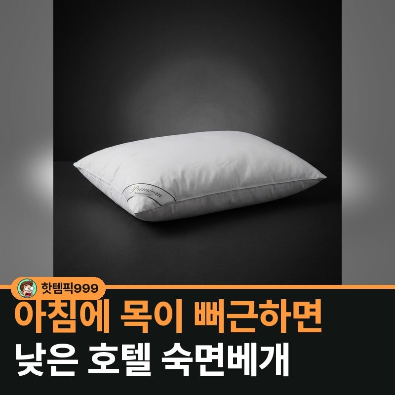 아침에 목이 뻐근하면 푹신한 낮은베개 40x60 — 엣지홈 호텔 숙면 항균 3색