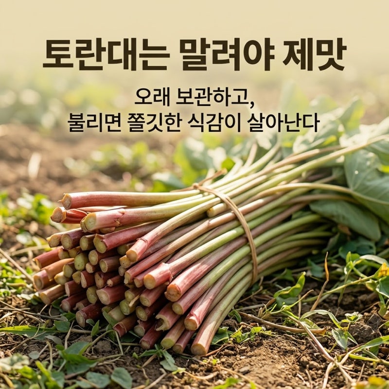 토란대 말리기 총정리: 껍질 벗기기, 건조, 보관, 불리는 법까지