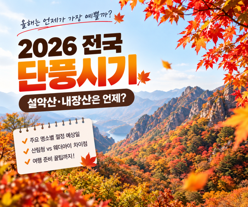 2026 전국 단풍시기 총정리 설악산·내장산은 언제 가장 예쁠까?