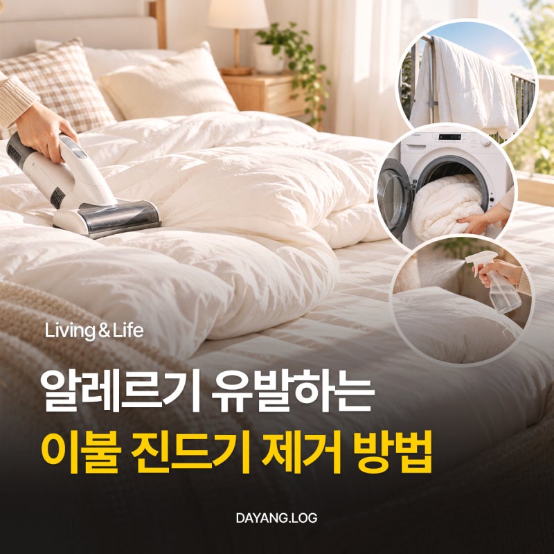 피부 가려움 비염 유발하는 이불 진드기 제거 방법 올바른 세탁법 침구 관리 꿀팁