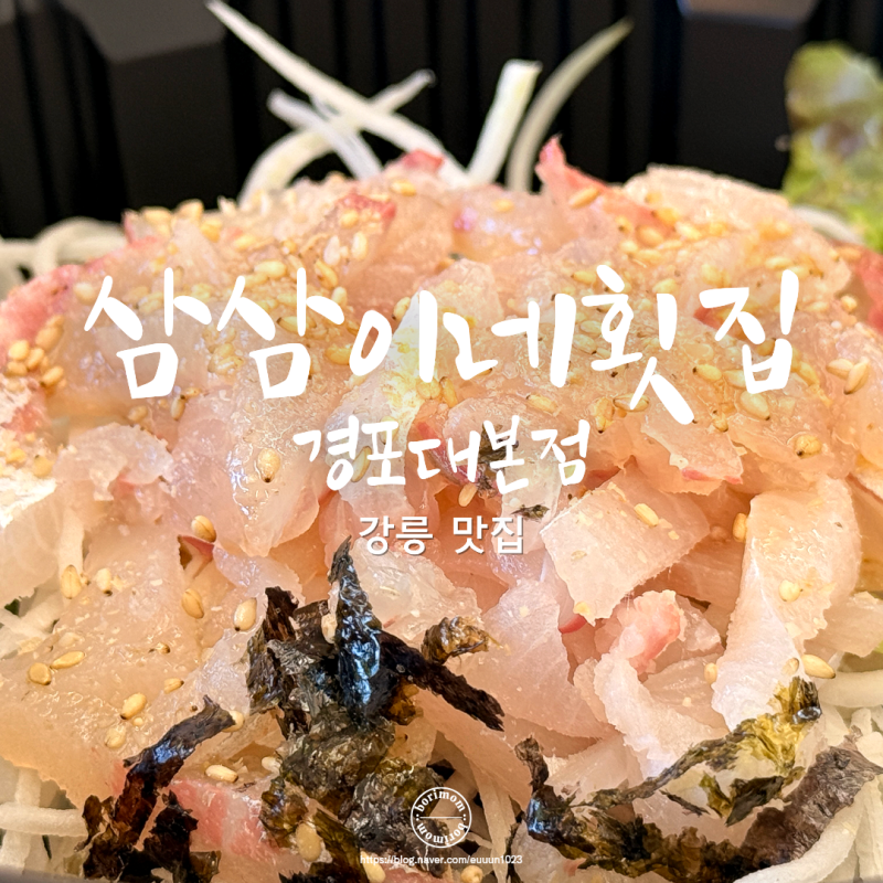 강릉 횟집 추천 삼삼이네횟집, 경포대 참돔유비끼 물회 포장해 먹은 인생맛집