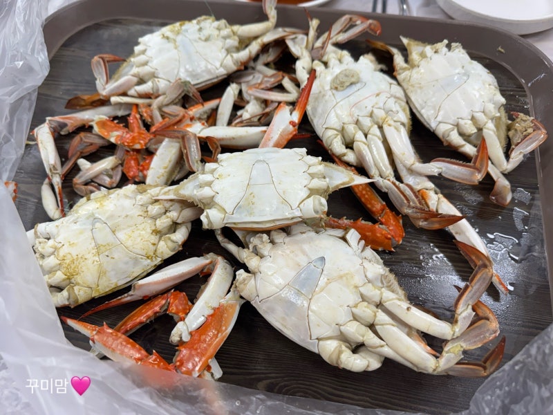 대구 북구 맛집) 매천수산시장, 매천시장 활꽃게, 활새우 맛집 추천
