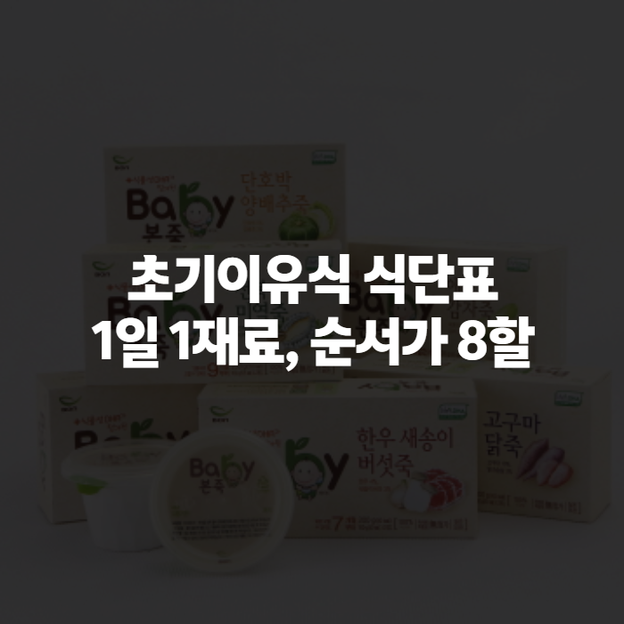초기이유식 식단표 6개월, 첫 숟가락 뜨기 전 순서부터 확인하세요