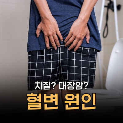 똥 대변에서 피? 혈변 원인과 대처법 병원가야 하는 기준은?ㅣ망고의 바디시그널