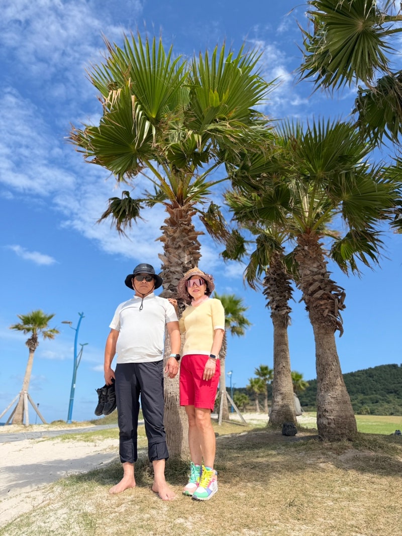 [부모님과 2박3일 제주여행] 너무 이뻤던 바다 제주 함덕해수욕장