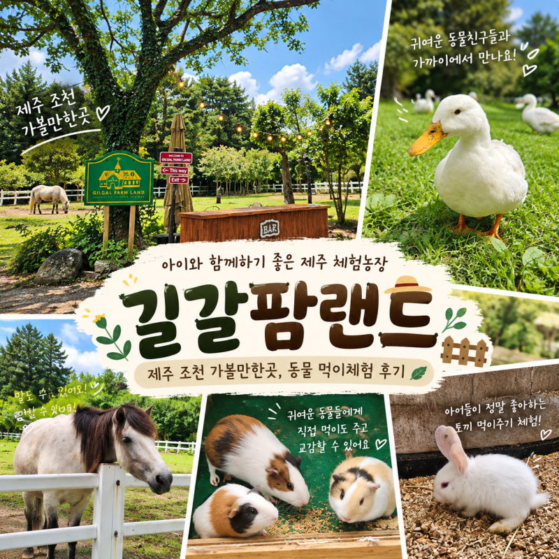 제주 조천 가볼만한곳 길갈팜랜드 먹이체험 후기