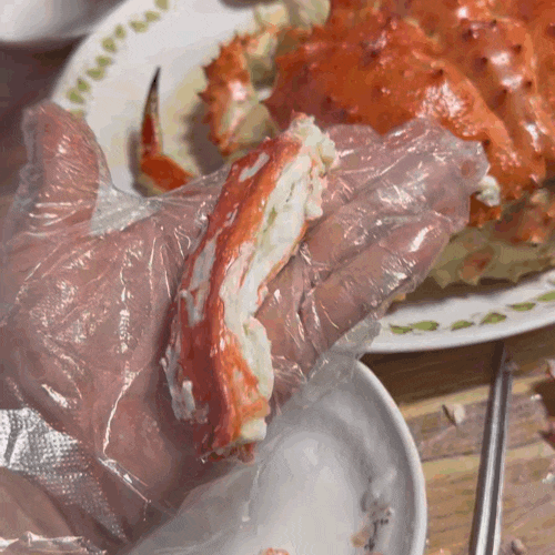 [동해] 묵호항 킹크랩 맛집 대게는여기 | 동해 묵호 대게 킹크랩 시세 상차림 해우식당 후기