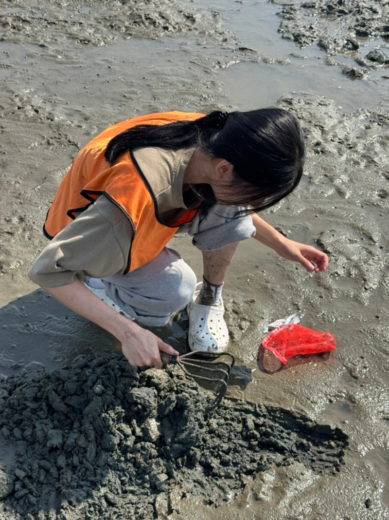 Yeongjongdo Mashian Tidal Flat Experience: Catching a Ton of Manila Clams (feat. Tide Chart)